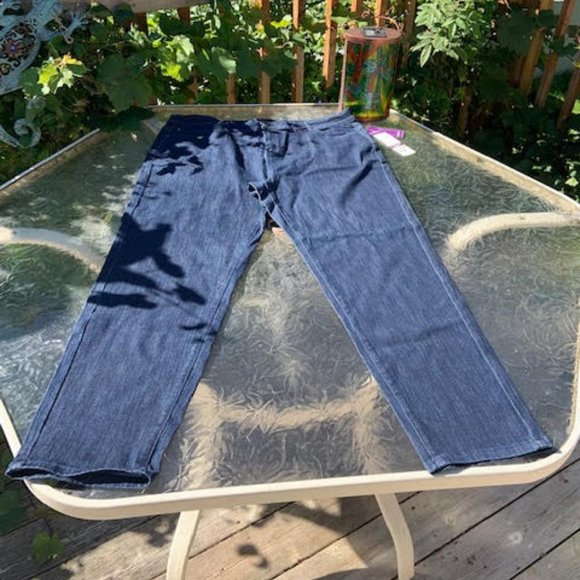 Blueberry Plus size 22W Jeans BNWT - Picture 5 of 11